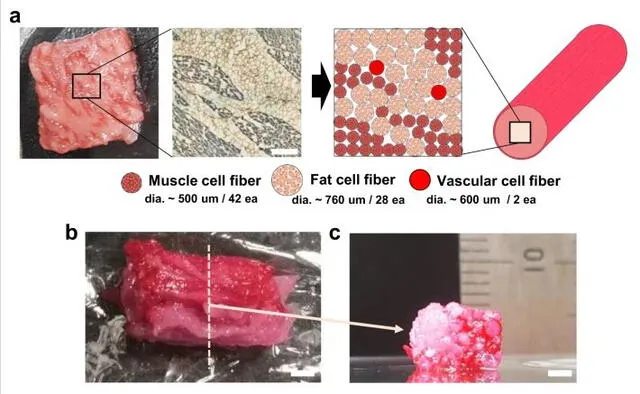 Carne wagyu impresa 3d