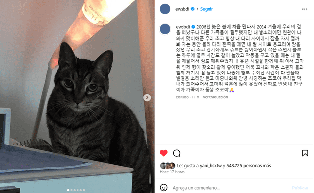  Rowoon y el sentido mensaje a su fallecido gato. Foto: captura Instagram/Rowoon   