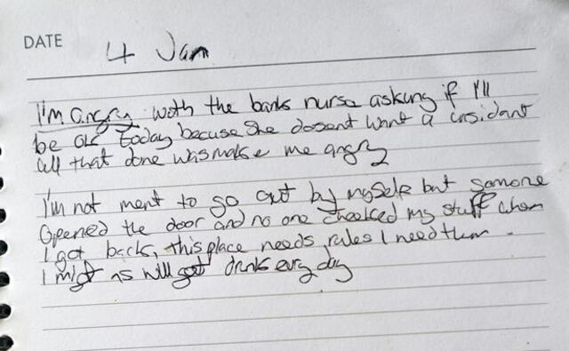 Nueve meses después del suicidio, la señora Anne Quinn ha mostrado el diario que su hija escribió. Foto: Mirror.
