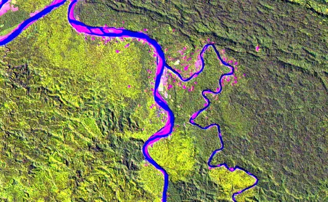 Imagen Landsat de 15 metros en falso color compuesto. Confluencia de los ríos Urubamba y Camisea. Foto Difusión