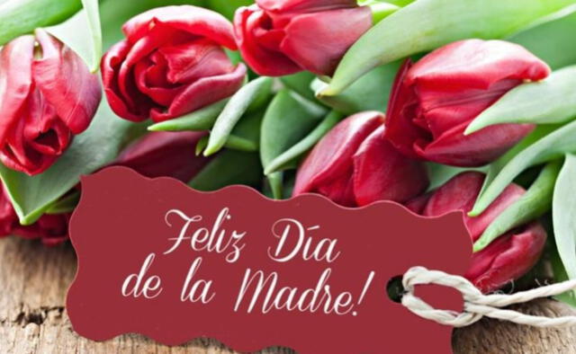 El próximo 14 de mayo se celebra el Día de la Madre en Chile. Foto: RedGlo   