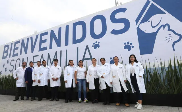El hotel para perros y gatos contará con la participación de veterinarios y defensores de los animales. Foto: EFE   