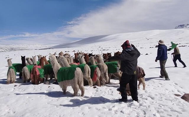  Se espera precipitación de nieve en la zona sur sierra del Perú. Foto: IDESEP.   