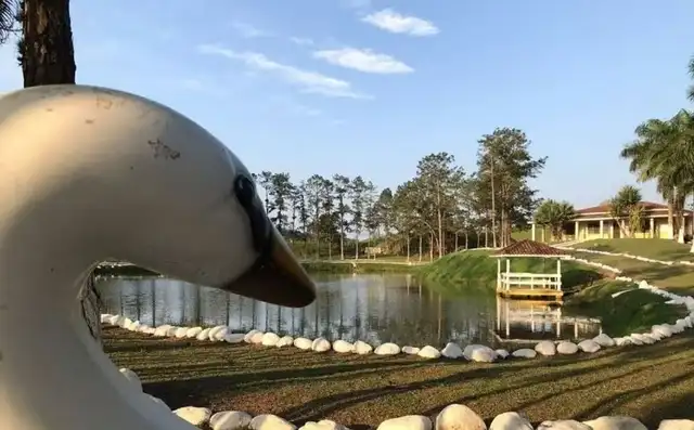 Aunque la finca fue adquirida por Pelé en los años 60, se desconoce el motivo actual de su venta. Foto: Casa Morumbí Imóveis