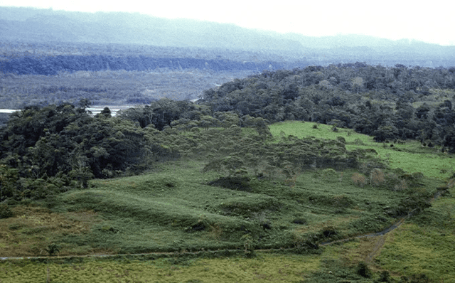  La inmensa civilización se extendió por el valle de Upano, en Ecuador. Foto: S. Rostain / Science (2023)   