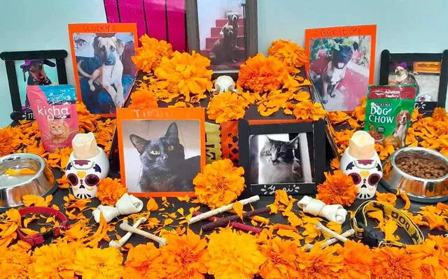  Las mascotas también son recordadas en el Día de los Muertos en México. Foto: X/juanfractal22   