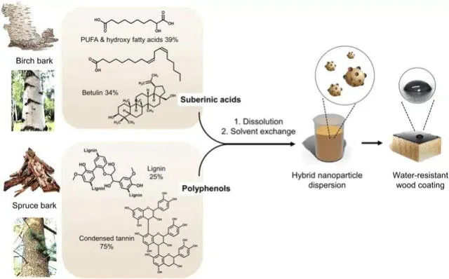  La fórmula del producto se deriva únicamente de productos renovables. Foto: SU   