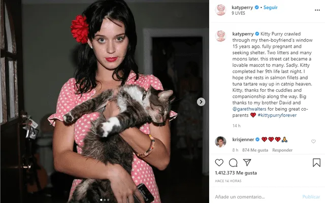 Katy Perry de luto por la muerte de su gatita Kitty Purry.