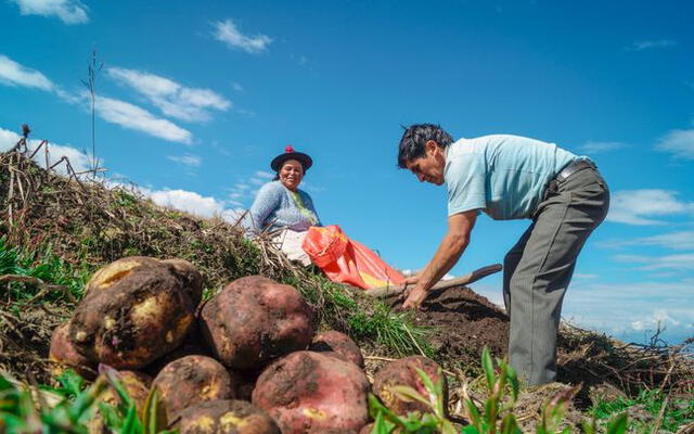 Bono rural: ¿quiénes acceden al beneficio de 760 soles? Foto: Revista Agronoticias.