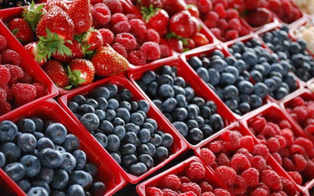 Alerta en Chile por sospecha de bacteria en frutas exportadas a Estados Unidos