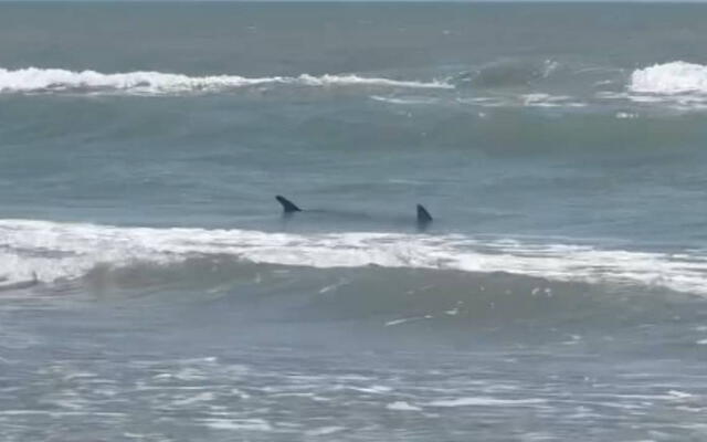  El hecho ocurrió el 4 de julio, en South Padre Island, Texas. Foto: El Sol de Tampico   