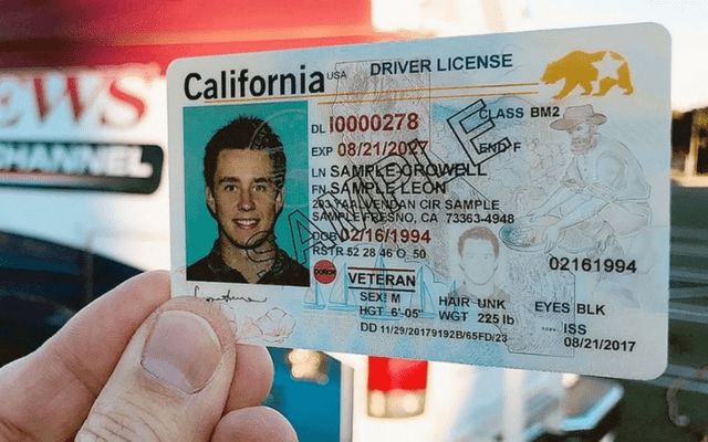  El objetivo del REAL ID es mejorar la seguridad y combatir tanto el terrorismo como el fraude de identidad. Foto: Acceso Latino   