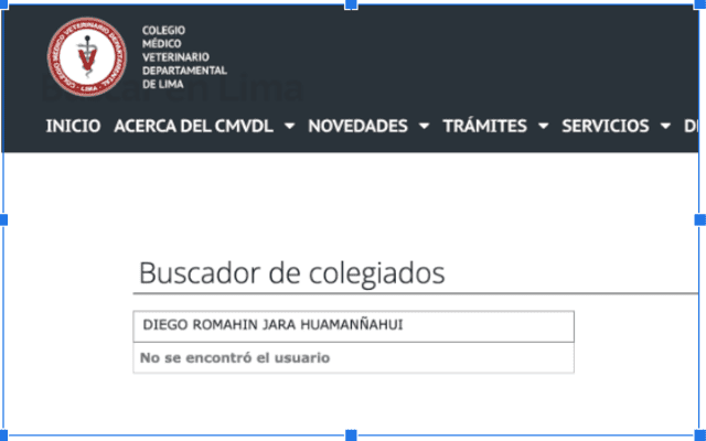  Buscador de Diego Jara en el buscador del Colegio Médico Veterinario de Lima en agosto de 2024. Fuente: CMVDL.    