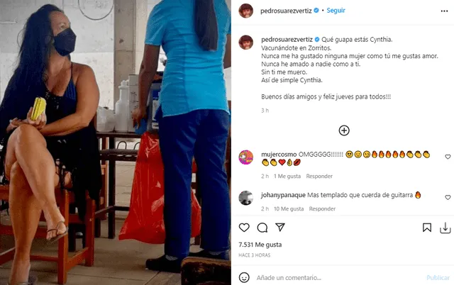 Pedro Suárez Vértiz confesó cuánto ama a su esposa. Foto: Pedro Suárez Vértiz/Instagram.