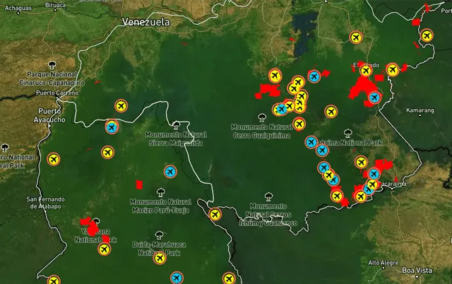 Minería ilegal en Venezuela ocasionó deforestación de un equivalente a 40 mil campos de fútbol