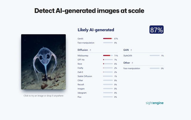 <em>Resultado de la evaluación en SightEngine. Foto: captura de Google</em>   