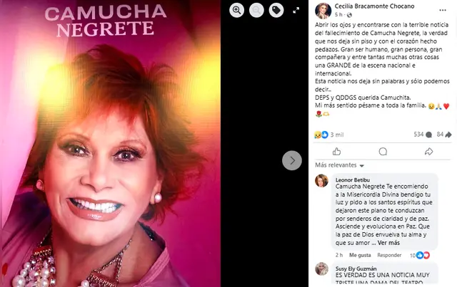 Despedida de Camucha Negrete. Foto: captura/Facebook   