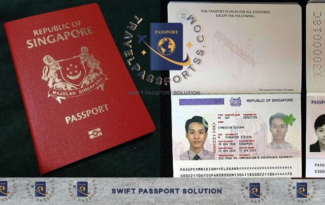  Singapur posee el pasaporte más poderoso del mundo. Foto: Travel Passports<br>    