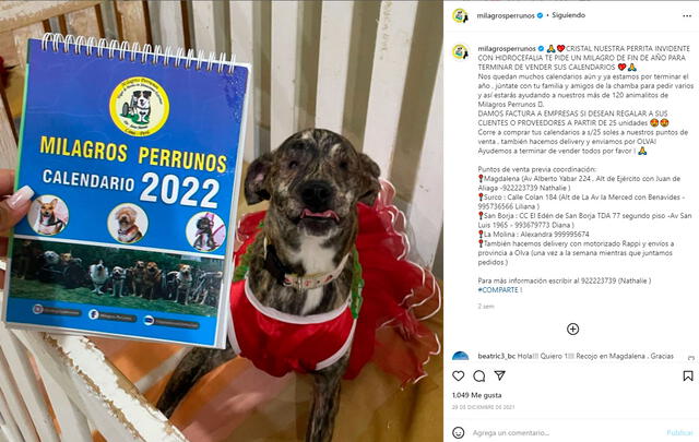 Milagros perrunos espera vender todos sus calendarios 2022. Foto: Instagram