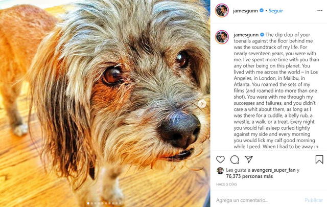 James Gunn se despidió de su mascota en Instagram