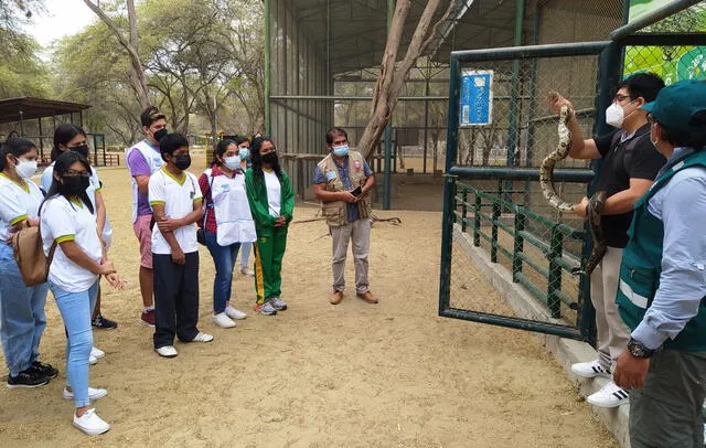 Piura serfor niños kurt ber Piura serfor niños kurt ber