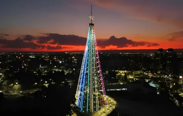 Árbol de Navidad, Sudamérica, Argentina, Italia, Perú, viral, árbol navideño más grande del mundo