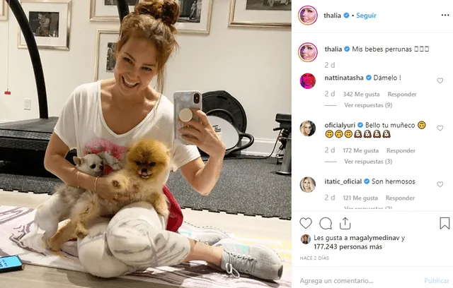 Gigi y Amorcita love, las perritas de Thalía que vienen robándose miles de “likes” 