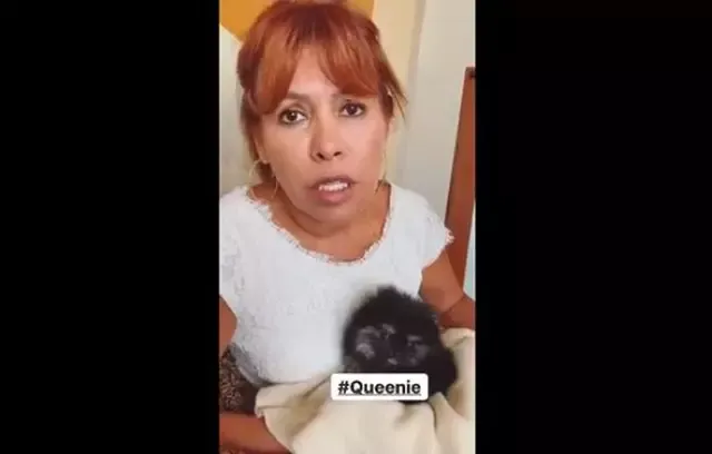 Magaly Medina compartió fotos de su mascota en su cuenta de Instagram.