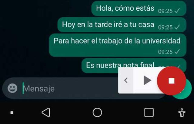 WhatsApp c mo activar el bot n secreto para que mi tel fono lea