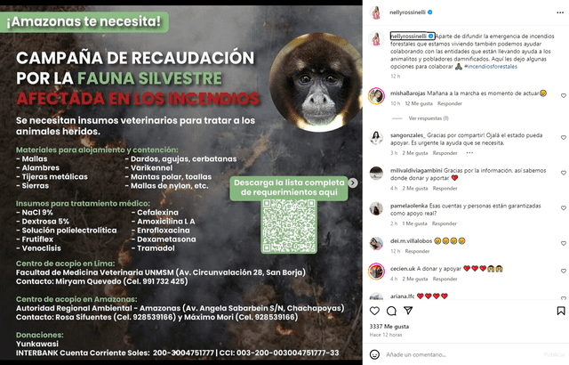  Nelly Rossinelli ha compartido una serie de post donde da a conocer las formas de apoyar a las comunidades afectadas. Foto: Instagram    