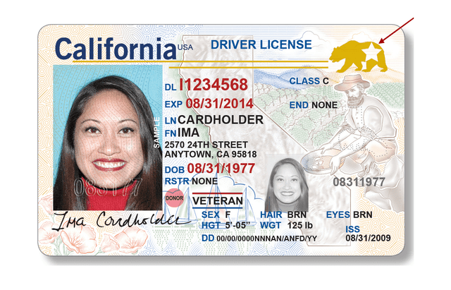  La Real ID cuenta con una estrella en la parte superior derecha, volviéndolo un documento autentico. Foto: California DMV    