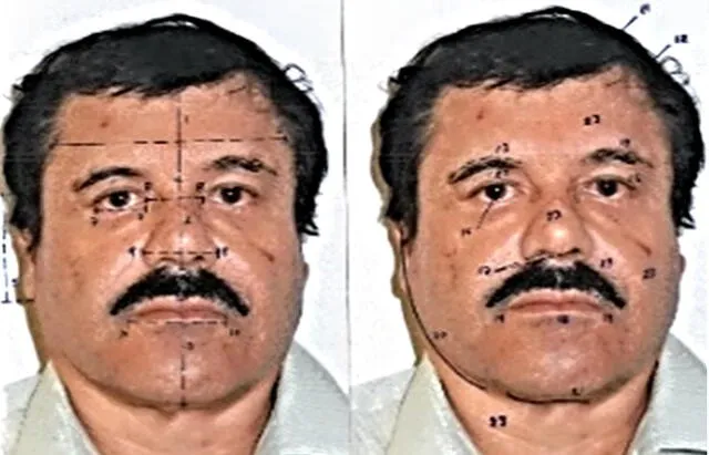 This handout photo released on February 25, 2014 by Mexican Attorney General office (PGR) shows facial measurements on a portrait of the Mexican drug trafficker Joaquin Guzman Loera, aka "el Chapo Guzman" in Mexico City. The Sinaloa cartel leader - the most wanted by US and Mexican anti-drug agencies - was arrested by Mexican marines at a resort in Mazatlan, northern Mexico, last February 21. AFP PHOTO/PGR (Photo by HO / PGR / AFP)