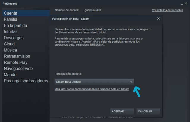 Steam Beta Update