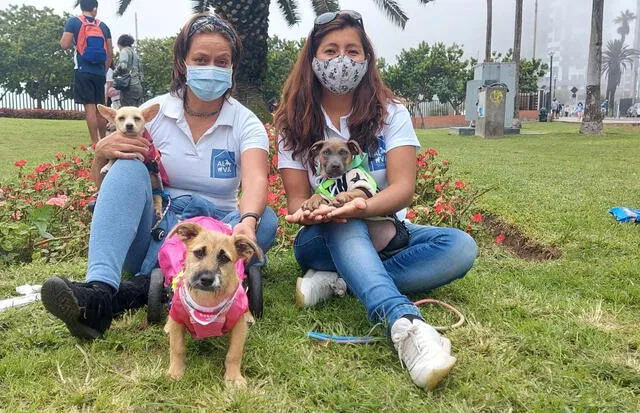 Larissa Petrlik y Kate Medina con algunos de los perritos del albergue