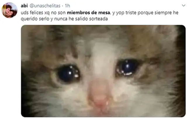 Los mejores memes del sorteo de miembros de mesa. Fuente: Redes Sociales Los mejores memes del sorteo de miembros de mesa. Fuente: Redes Sociales