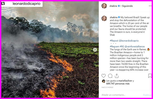 Las ong achacan los incendios en la Amazonía a la retórica de Bolsonaro