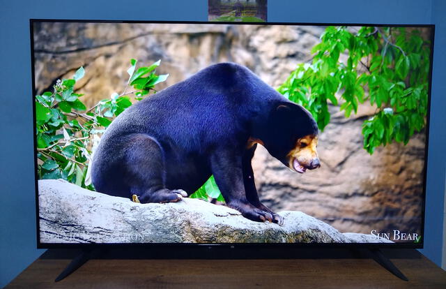 Pantalla del Xiaomi Mi TV P1 de 55''