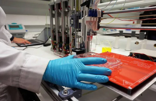  En 2017 se creó la primera impresora 3D para producir piel humana. Foto: Agencia Sinc 