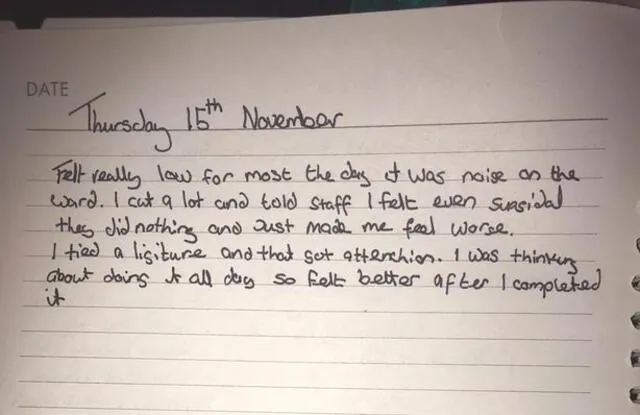 Nueve meses después del suicidio, la señora Anne Quinn ha mostrado el diario que su hija escribió. Foto: Mirror.