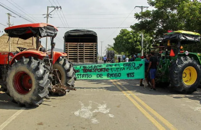 Algunos protestantes han pedido la salida del presidente Gustavo Petro. Foto: EFE   