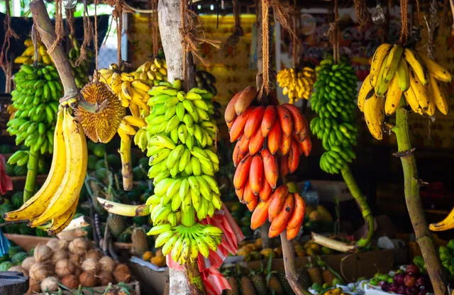 Los plátanos son cultivados en más de 150 países, principalmente en regiones tropicales de América Latina, África y Asia. Foto: Review.   