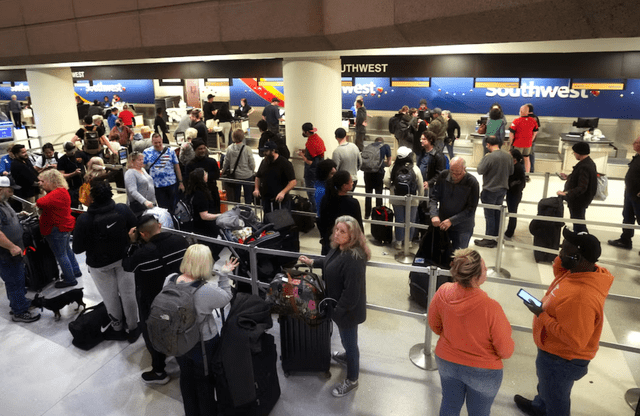 El caos se desató en las instalaciones del terminal 4 del aeropuerto de Phoenix. Foto: AFP.    