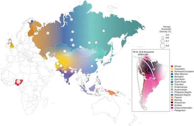 Ascendencia genética y diversidad nucleotídica: los colores muestran las distintas ascendencias genéticas estimadas a partir de datos de secuenciación completa del genoma en poblaciones humanas actuales. Foto: Science Ascendencia genética y diversidad nucleotídica: los colores muestran las distintas ascendencias genéticas estimadas a partir de datos de secuenciación completa del genoma en poblaciones humanas actuales. Foto: Science
