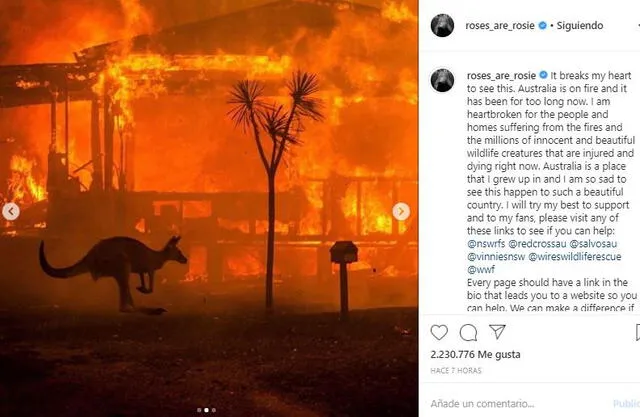 Rosé de BLACKPINK pide donaciones para los animales afectados en los incendios de Australia