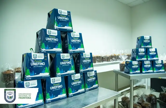 Mangotón, el panetón de mango de los estudiantes de la Universidad de la Frontera