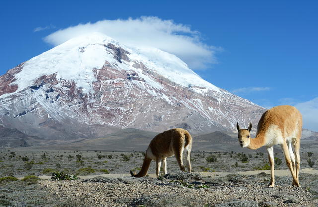  El Chimborazo, Ecuador.   