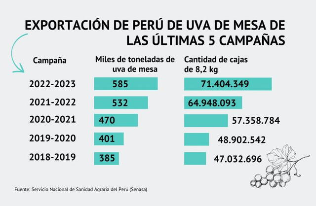Perú ha presentado un crecimiento exponencial de exportación de uva de mesa en los últimos 6 años. Foto: DFSUD   