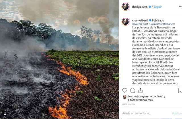 Incendio en Amazonas