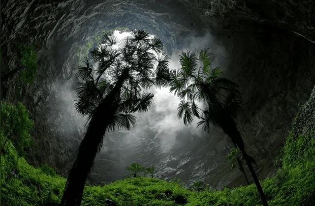  El bosque yacía en lo profundo de un sumidero que se ubica al sur de China. Foto: Xinhua   
