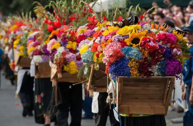 Colombia | flores colombianas | exportación de flores | Asocolflores
